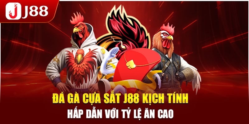 đá gà cựa sắt